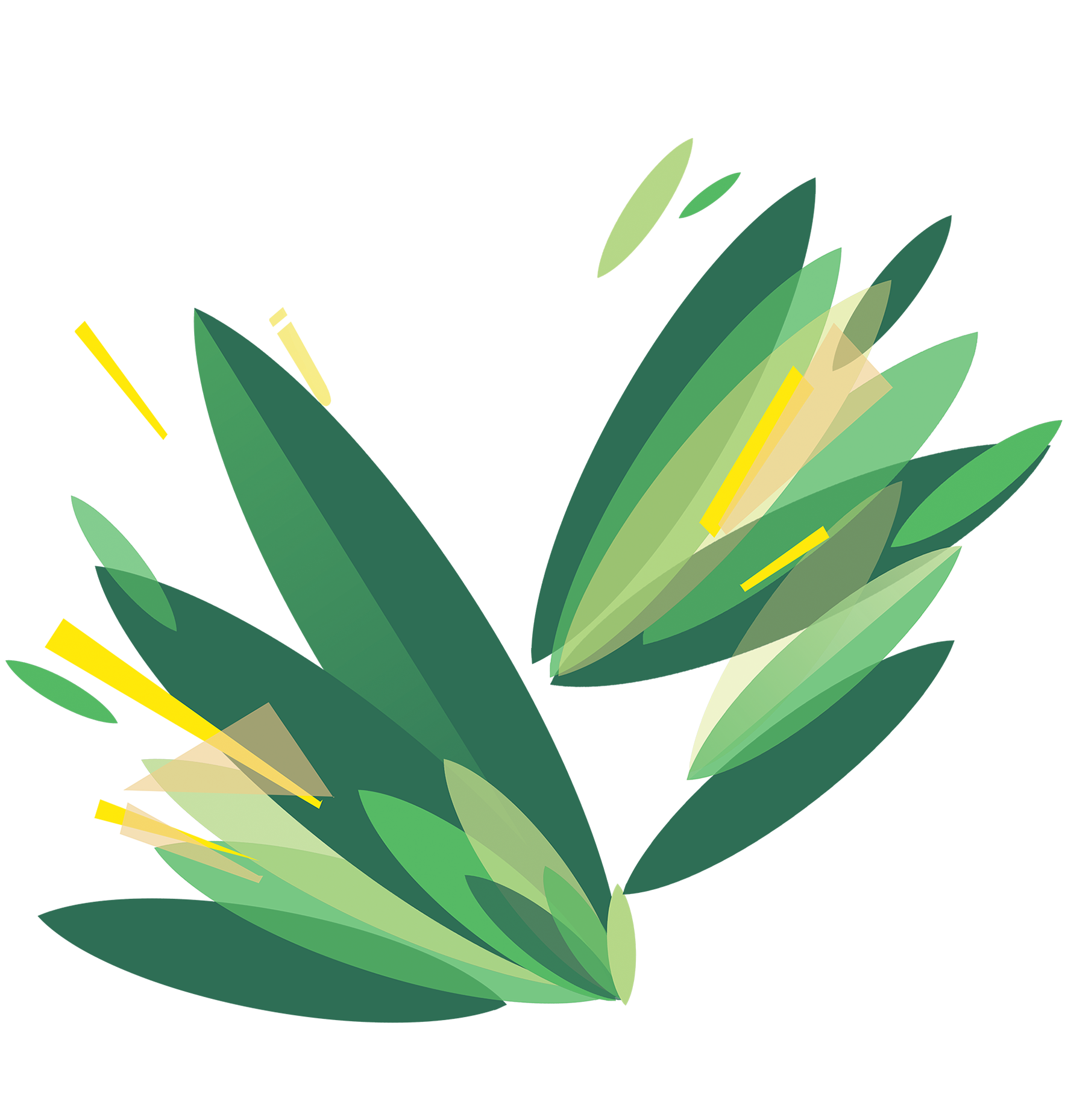 feuilles