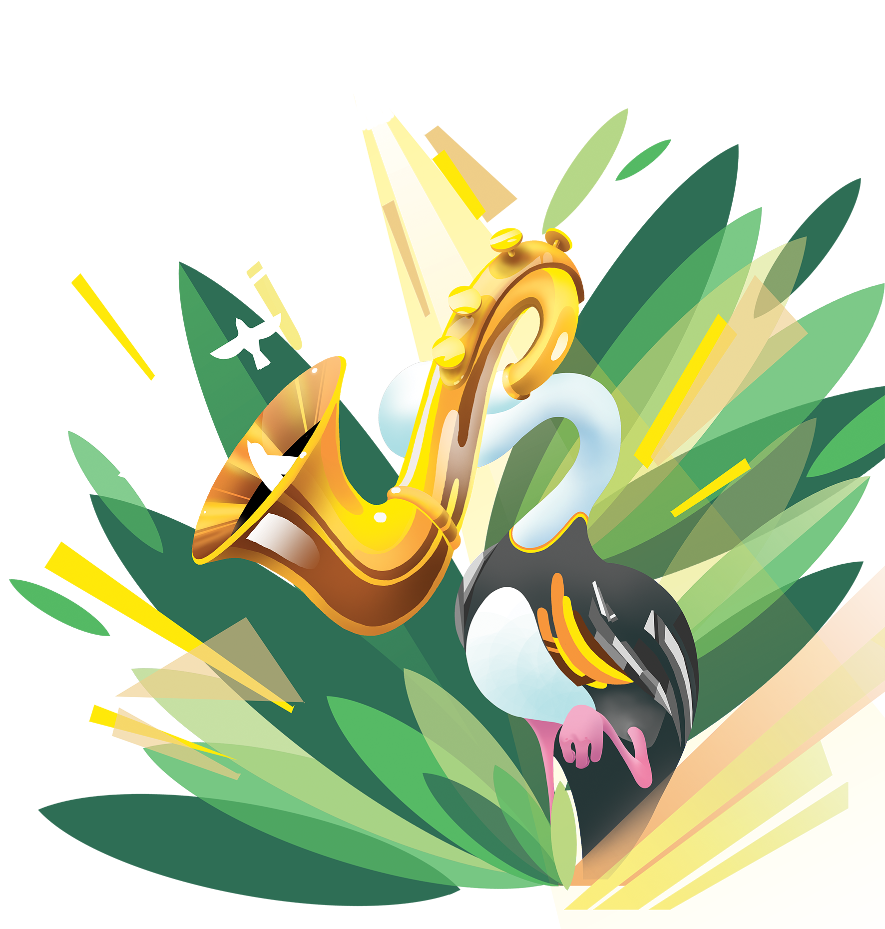 oiseaux oiseaux