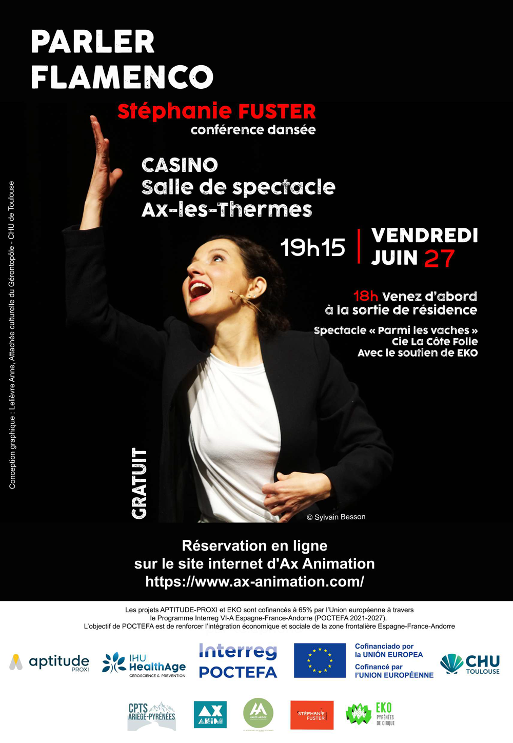 affiche parler flamenco