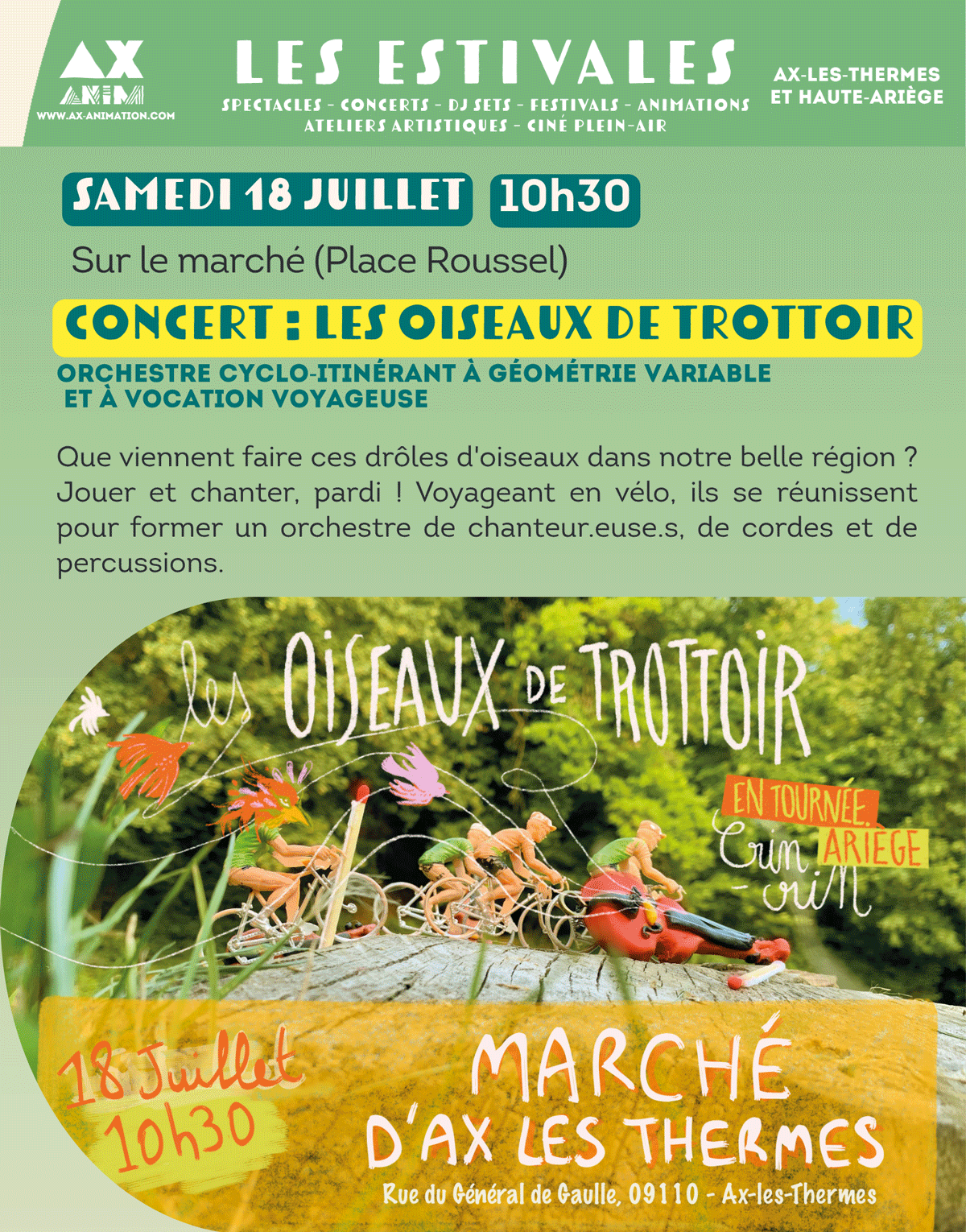 oiseaux